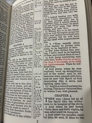 Holy Bible Cameo 16mo PCE Pure Cambridge Edition Antique French Morocco Leather