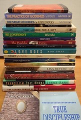 Lot 20 Christian Theology: Timothy Keller Warren Wiersbe N T Wright Lisa Bevere!