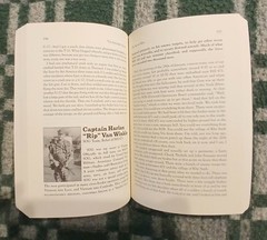 The Sodier’s Story: Vietnam In Their Own Words, by Ron Steinman Vietam War