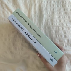 The Neapolitan Novels box set by Elena Ferrante(Europa Editions,trade paperback)