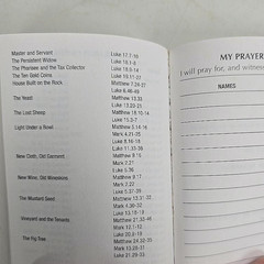 Holy Bible NIV NT Psalms Good News Camo Military Mini 2 Books Vintage Pocket