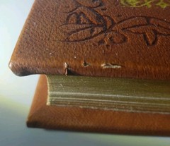 Bobby Fischer Teaches Chess – Premium Leather Bound