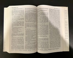 The New Jerusalem Bible: The Complete Text of the Ancient Cannon of Scriptures
