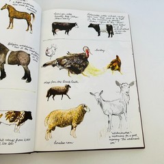 The Farm Book by Rien Poortvliet HCDJ Illustrated Animals Farm Life 1997