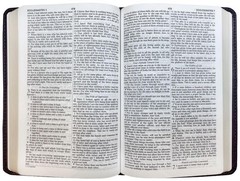 Compact NASB Bible Black LeatherTex 1995 Edition – Pocket Reference