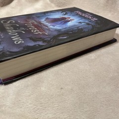Frozen 2: Forest of Shadows by Kamilla Benko and Grace Lee (2019, HC) 1st Ed
