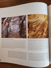 Essence of Photography Seeing and Creativity by B. Barnbaum 2021 SC Rocky Nook