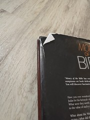 Money of the Bible BY Kenneth Bressett 3rd Edition