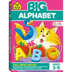 Big Alphabet Workbook (ages 3-5) – Perfect Paperback – VERY GOOD