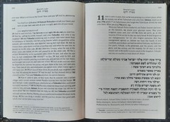 Cepher – Besoroth: The Gospels with Hebraic Concepts – Newly Updated in 2023!