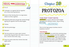 Everything You Need to Ace Biology in One Big Fat Notebook