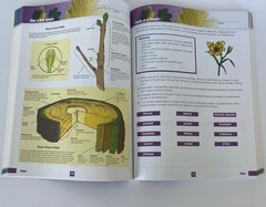 Brand New Science Workbook Grades 5–6 Full Color Paperback School Study Guide