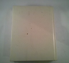 Holy Bible Revised Standard Version Catholic Edition Gilded Golden Page Edges