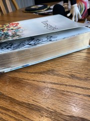 Inspire Bible Large Print NLT (Leatherlike, Multicolor. Check The Pictures