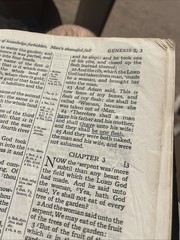 Holy Bible Cambridge French Morocco leather #24XC
