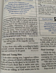 The Living Insights Study Bible NIV Zondervan Bonded Leather 1996 Swindoll Navy