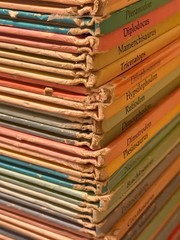 Dinosaur Library Series Lot of 25Vintage 1980s Hardcover Books Rourke VGC READ