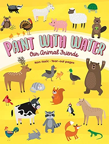 Paint with Water Book for Todd – GOOD