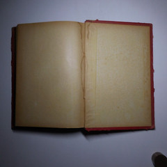 N25.4 Misery Size Humanity Primitive 1889 Illustrated Anthropology Mrs. Meunier