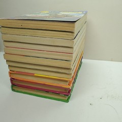 ANIMORPHS K.A. Applegate PB Book Lot Set of 11