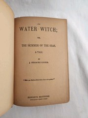 The Water Witch by J. Fenimore Cooper Vintage Hardcover Novel