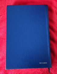 Freedom in Christ Bible New International Version Discovery Zondervan 2001 HB