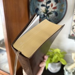 ESV Study Bible Trutone Brown 2016 Edition Gold Pages Bookmark English Standard