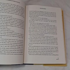 It Never Rains In Tiger Stadium John Ed Bradley Hardcover ESPN Books 2007