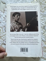 Lost Beach Boy : The True Story of Beach Boy by Jon Stebbins & David Marks