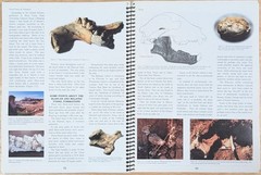FOSSIL FACTS & FANTASIES By Joe Taylor Soft Cover Spiral Bound RARE! VG+ Cond.