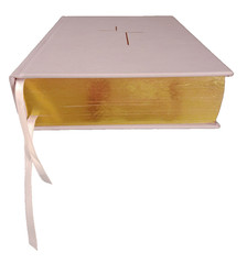 The Jesus Bible Pink with Gold In Box Louie Giglio Leather soft over board