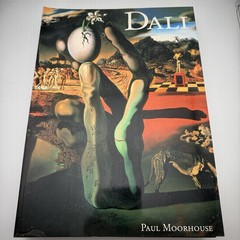 Coffee Table Artist Books PB 6ea Picasso Rembrandt Van Gogh Dali Leonardo Michae