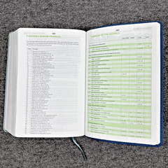 Christian Standard CSB Disciple’s Study Bible Navy/Mist LeatherTouch Holman HTF