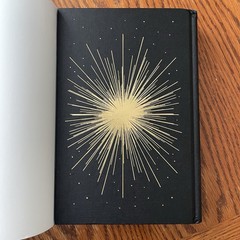 *Damaged* Waterstones Light Wielder Rachel Schneider Signed
