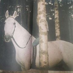 LIVRAISON No.1 Art Fashion Magazine Swedish Private Issue 276 Pages