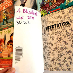 Boys 3rd/4th/5th/6th Grade Chapter Books Lot of 42 Homeschool PB Scholastic