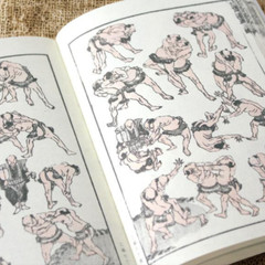 Hokusai Katsushika Manga Box Set 3 Volumes Remake Complete Edition Japanese Art