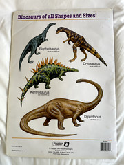 Amazing Dinosaurs (Giant Step Picture Library)