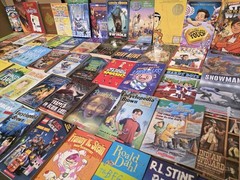 Lot of 20 Chapter Books for BOYS Youth Early Reader Young Adults Children RANDOM