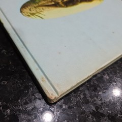 Dinosaurs and Other Prehistoric Animals by Darlene Geis (1979, Hardcover)