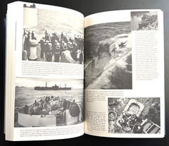 BLOODSTAINED SEA (US Coast Guard & Battle of Atlantic) by MICHAEL G. WALLING HC