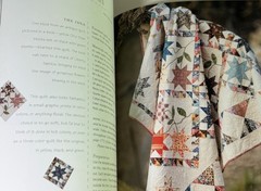 Material Obsession-Modern Quilts w Traditional Roots-STC Craft-Doughty-Fielke 09