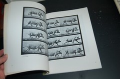 Horses and Other Animals in Motion: 45 Class… by Muybridge, Eadweard Paperback