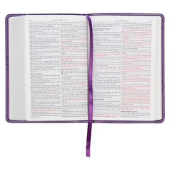 KJV Holy Bible, Compact Faux Leather Red Letter Edition – Ribbon Marker, King