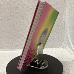 Wicked- Official Visual Companion SE Hardcover SEE DESCRIPTION
