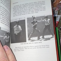Cheap Shots Ambushes Marc 'Animal’ MacYoung Paperback Paladin Press Martial Arts