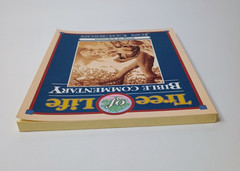 Song Of Solomon Tree Of Life Bible Commentary Jon Courson PB Bible Study Book