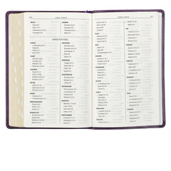 KJV Holy Bible, Standard Size Faux Leather Red Letter Edition Thumb Index & Ribb
