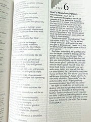 The Life Recovery Bible NLT (Softcover) by Tyndale 2013