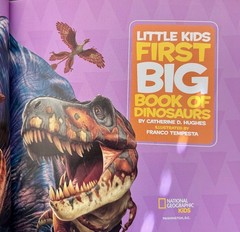 Lot 2 Dinosaur books National Geographic Kids Dino-Pedia and First Big Book